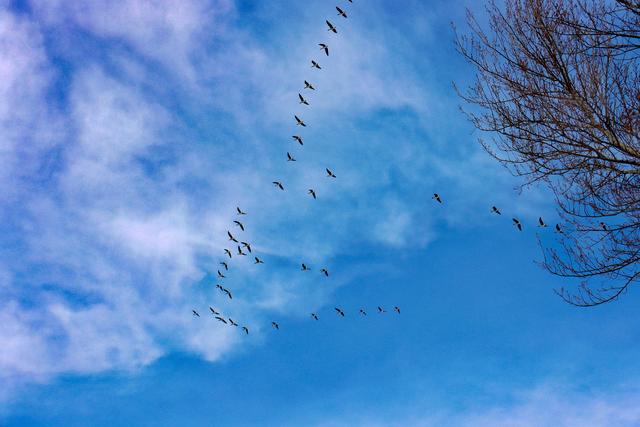 雪拥雄关，八达岭长城变诗意水墨画