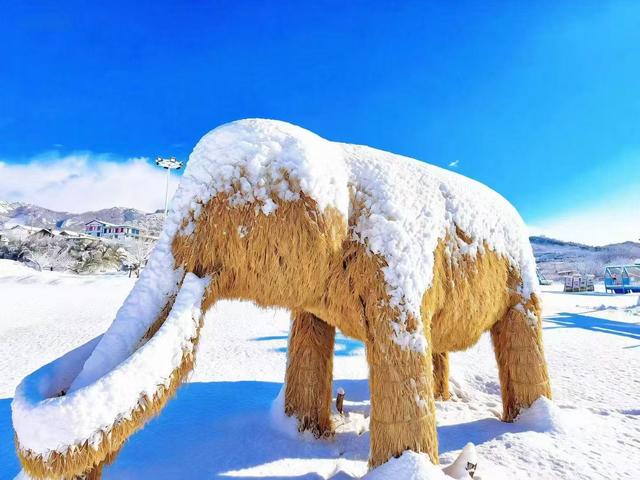 冬游威海 情满山海｜雪后，走入童话世界般的威海