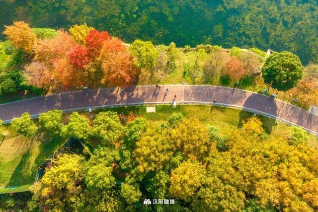 爆火机位！汉阳这个阳台，红了！