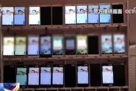千台手机刷短视频千万假浏览量，要价近两万，成本仅180元图片