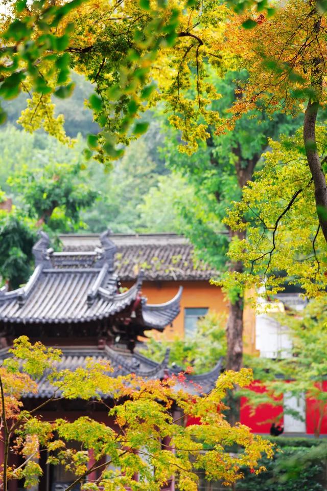 10月29日栖霞山免费吗？回答来啦！