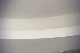 家里餐厅天花板突然出现大片蛆虫，女子将家中翻遍都找不到来源