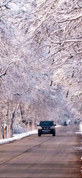 浙江这两条线路入选中国公路学会“2025年度自驾游精品线路”，一起来关注！