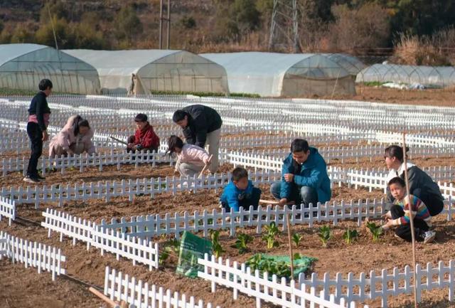 景德镇藏着一个“城市桃花源”