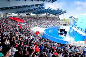 海洋国潮齐上阵！上海海昌海洋公园国庆迎大客流，单日客流破5万人次图片