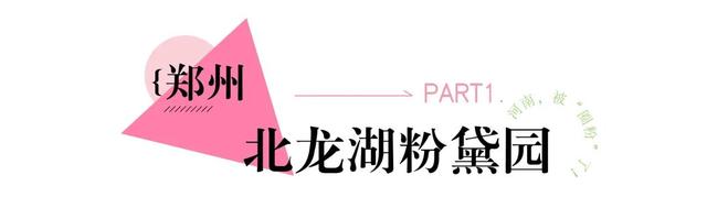 河南，被圈“粉”了！