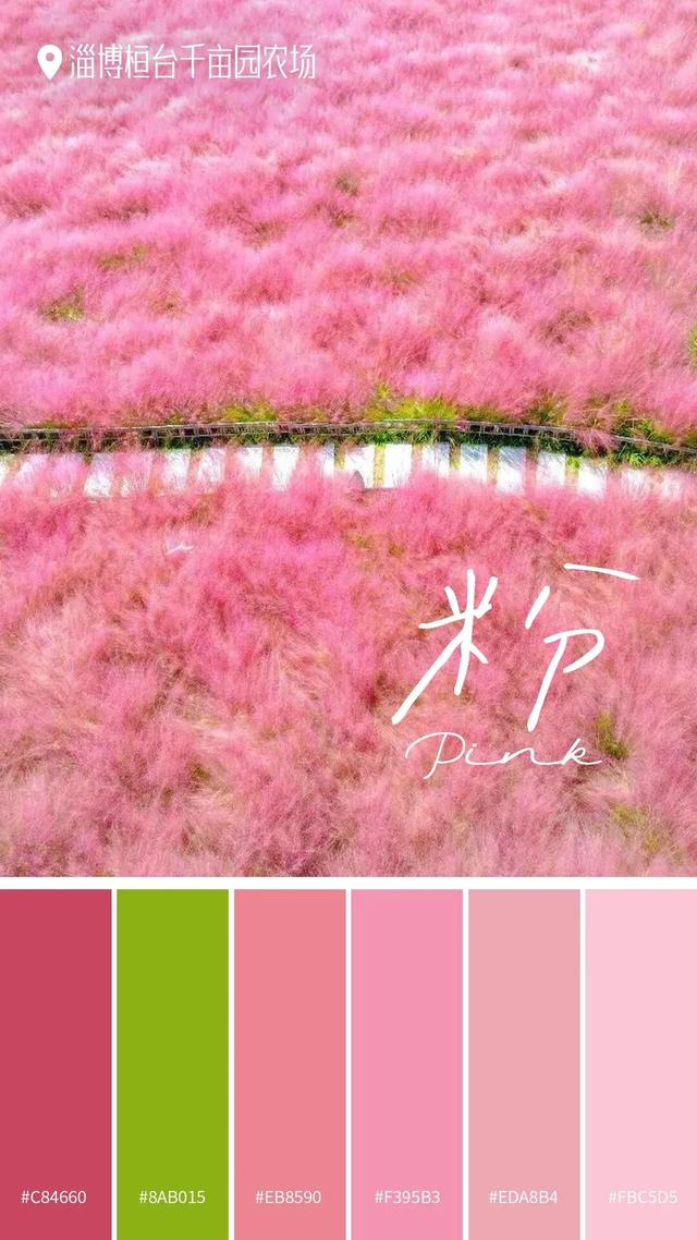 山东秋天的限定「色卡」，你集齐了吗？