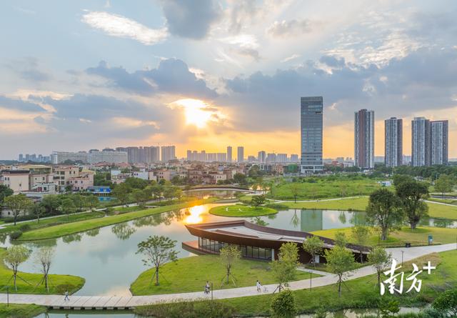 水清岸绿绘新景！顺德“三水融合”激活人文经济新动能