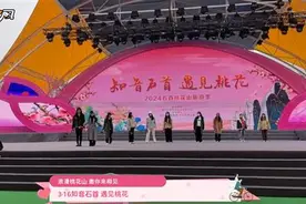 知音石首 遇见桃花|云游最美桃花源 解锁赏花新姿势图片