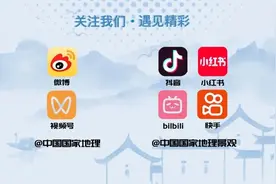 有萤火虫的夜晚，才是完美的夏天图片