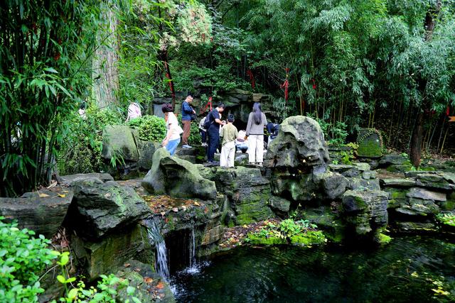 济南红叶谷五彩斑斓，4000余亩黄栌林开启每天“变脸”时刻