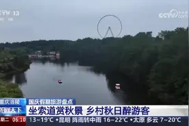 又获央视新闻推荐！美心红酒小镇索道秋游美景正盛图片
