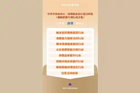 消费行动点名“久摇不中” 鼓励汽车消费由购买管理向使用管理转变图片