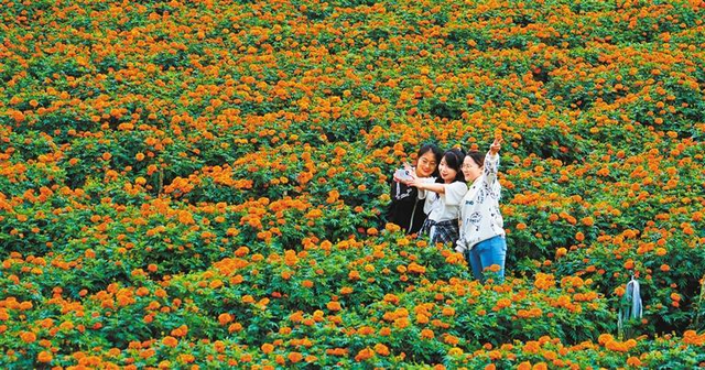 打造多样旅居生活！《经济日报》整版聚焦文山