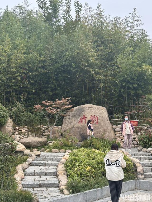 青岛竹子庵：金秋赏景正当时！