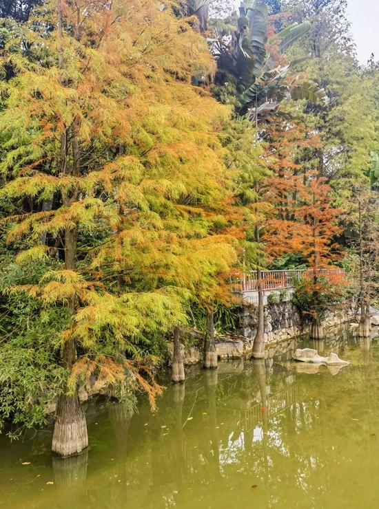 南宁市石门森林公园换上限定 “彩装”