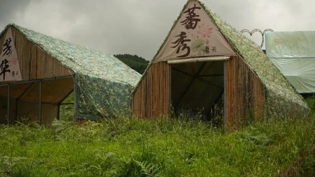 暑假带娃徒步+露营！昆明必去的6个高山草原，凉爽舒心，星空野餐两不误！