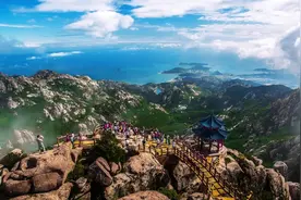 免费、半价、特惠……在青岛「花式宠妈」图片