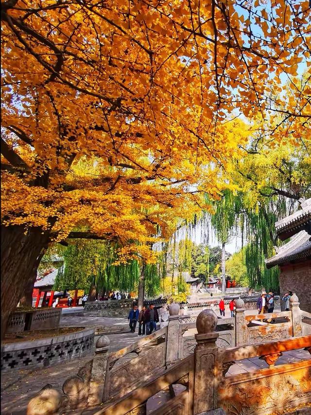 晚潮｜邂逅秋光三千年