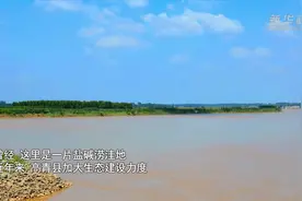 山东高青：黄河岸边淘出“金疙瘩”图片