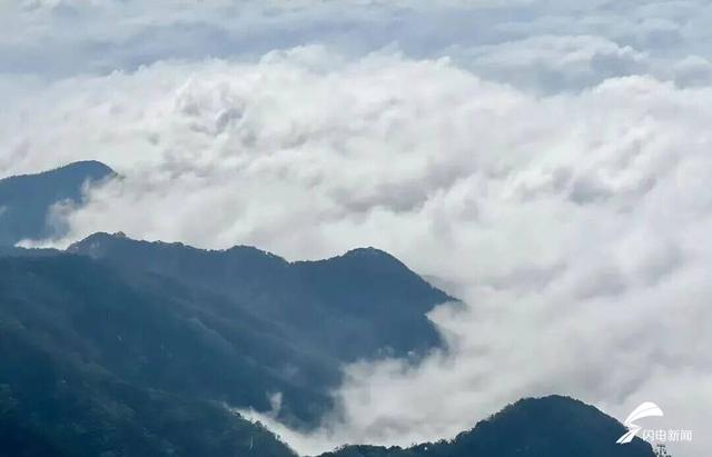 组图丨泰山秋韵：当云海吻过山林 是独属于十月的浪漫