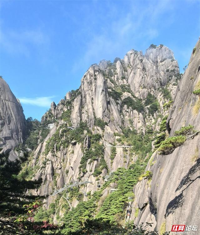 秋游时刻丨如果秋天有底色，那一定是黄山的样子吧？