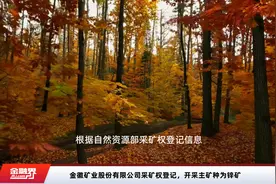 金徽矿业股份有限公司采矿权登记，开采主矿种为锌矿视频封面