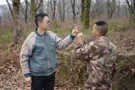 清镇市气象局：精细花期预报 护航赏樱佳期图片