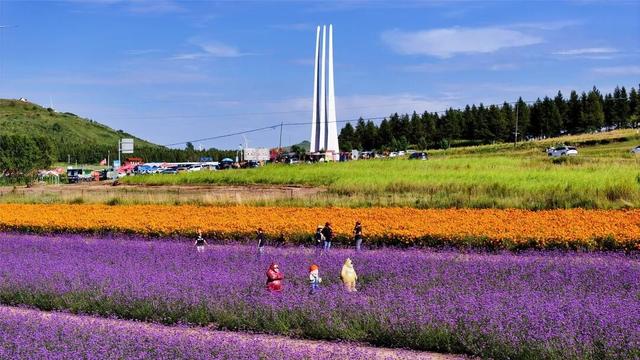学习强国 | 河北张北：花色斑斓耀山岭