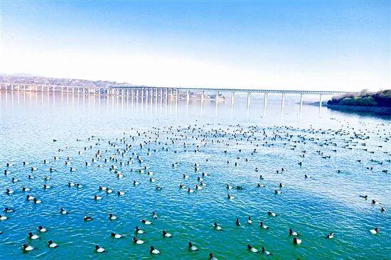 光影中的三门峡（563）