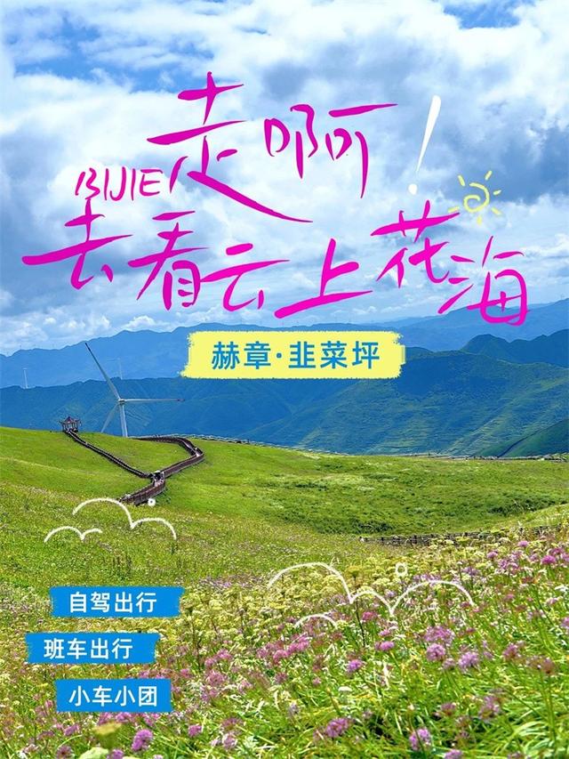 从七星关去韭菜坪，去看云上花海