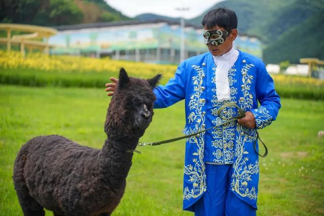 “奇幻动物城”上线！森林巡游、萌宠互动、气模打卡……欢乐不停歇！