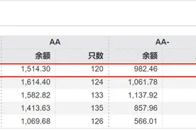 年内转债评级调降数量减少，优质转债依然“珍稀”，机构寻觅底仓替代品种图片