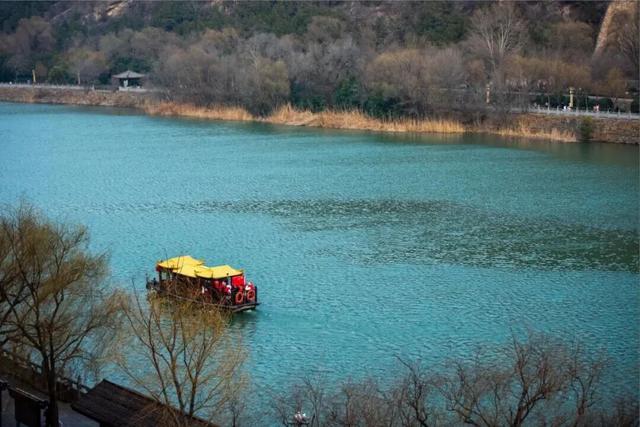 共祝申遗成功25周年 | 四大景区携手联动——龙门石窟