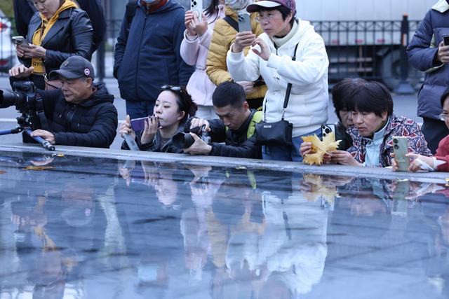 美景叠加禅意：龙华寺成为上海热门赏秋胜地