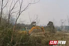 东安：耕地复垦热潮正涌图片