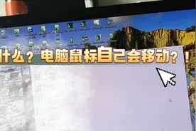 电脑被远程控制 民警及时揭露骗局避免损失图片