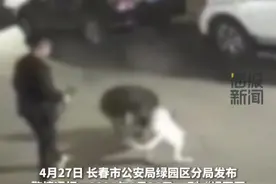 长春一小区流浪猫被烈性犬咬死 警方通报：3名涉案人员被抓获归案，3条涉案犬只被暂扣图片