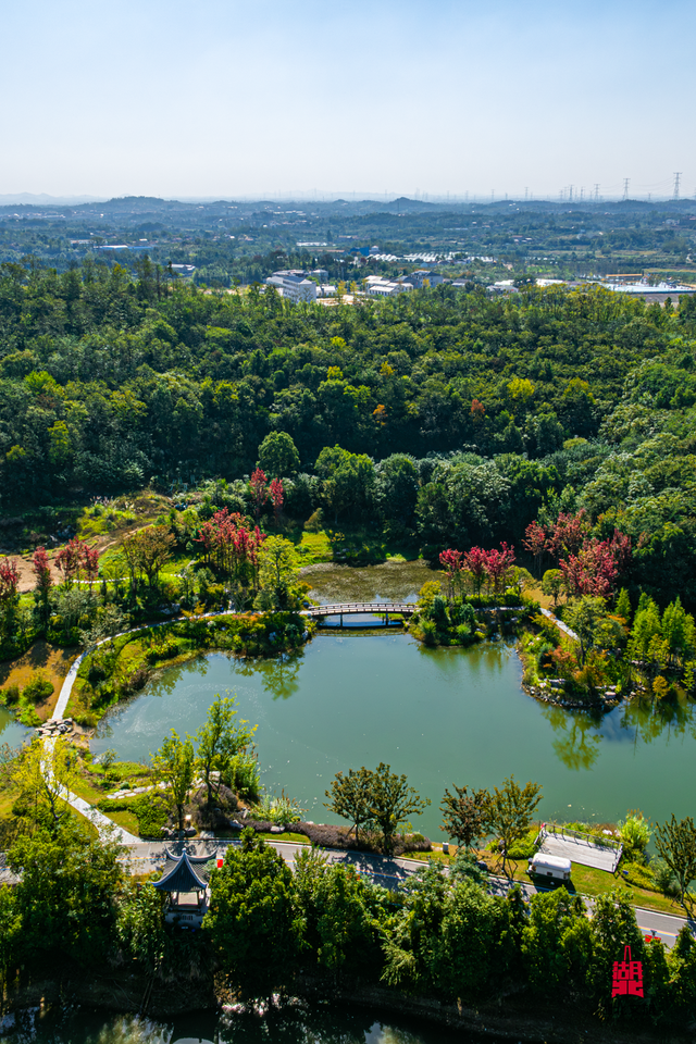 想追风，去团风！