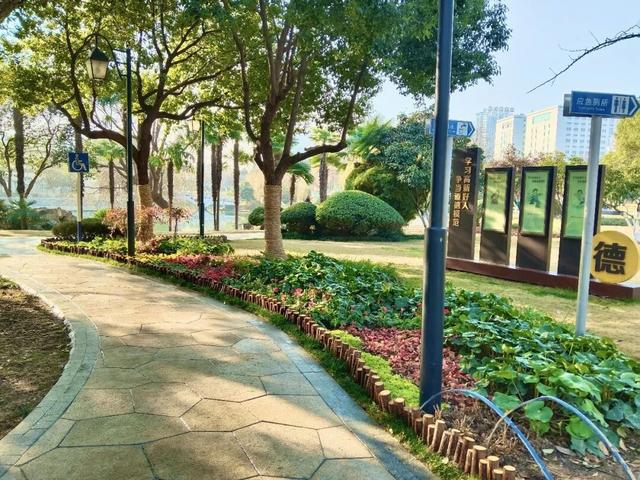 邂逅转角花境 一路一景串联高新区生态画廊