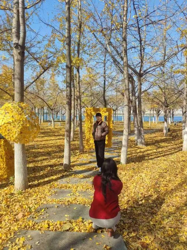 落叶变“宝藏”！临沂这些地点免费打卡