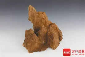 海南周刊 | 遍数风流看东坡图片