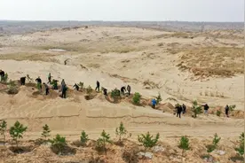 中国科学家卢琦，获联合国环境署2024年“地球卫士奖”图片