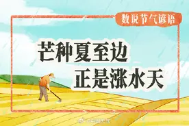 数说节气谚语芒种夏至边正是涨水天 哪里进入雨水最充沛时节？图片