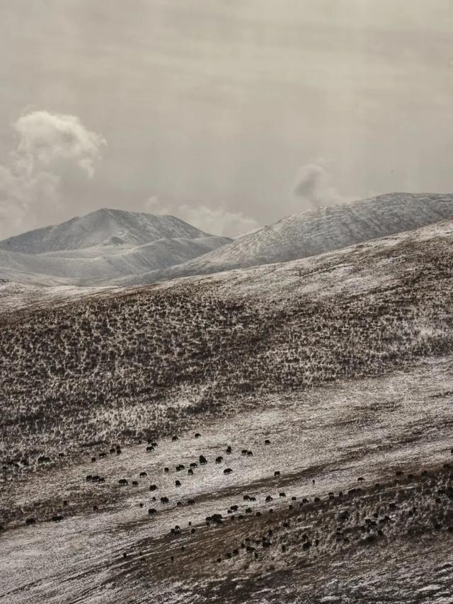 雪后的甘孜，走一路美一路！
