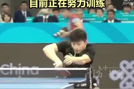 马龙：十五运将是我最后一次出战全运会图片