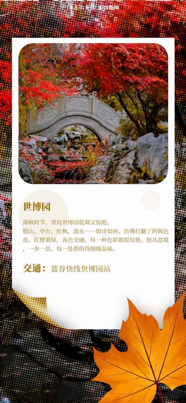 AI长图站｜青岛“枫”景上线！跟着地图，探寻“红叶秘境”