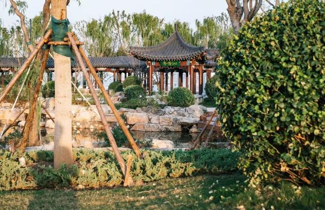 济南这座大型“城市公园”，好逛！