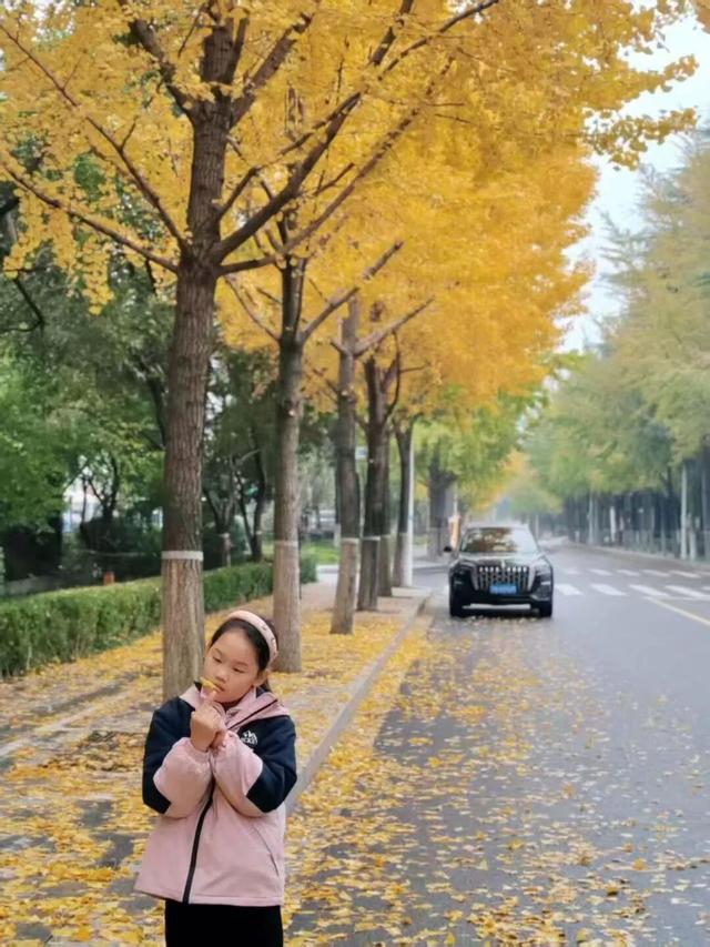 绝美！走，打卡去！