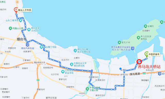 2025国庆假期游养马岛必看！交通攻略+贴心提示→